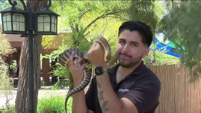Joaquín Hidalgo y su sueño de cuidar animales